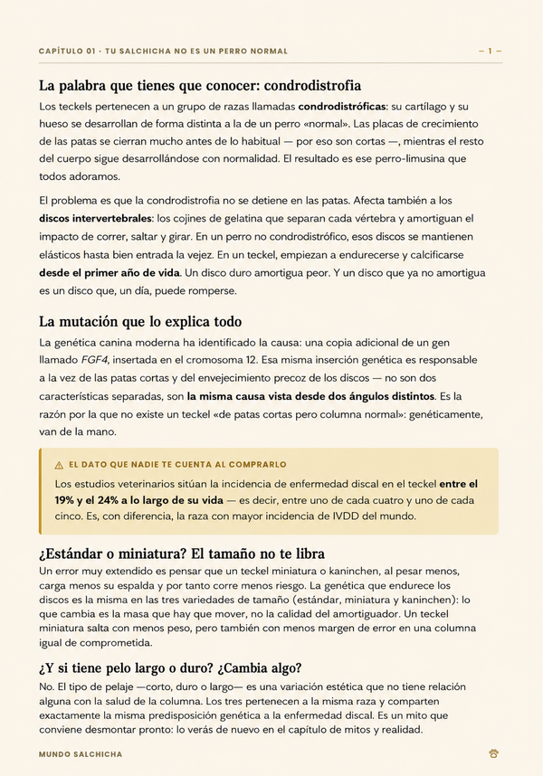 La palabra que todo dueño de un teckel debería conocer.